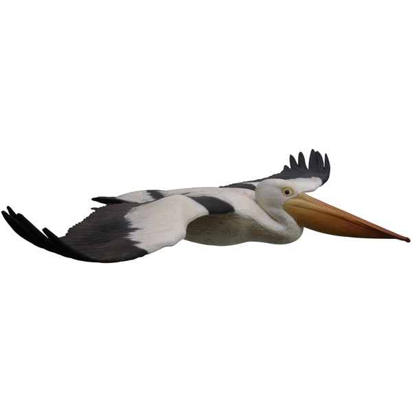 Pelikan fliegend