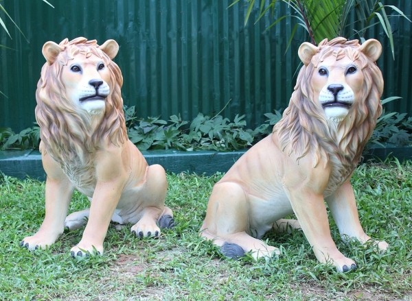 Löwen sitzend Blick recht und links