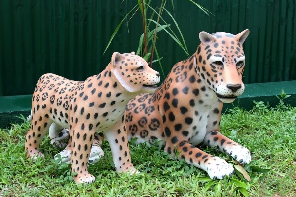 Leopard liegend mit Baby