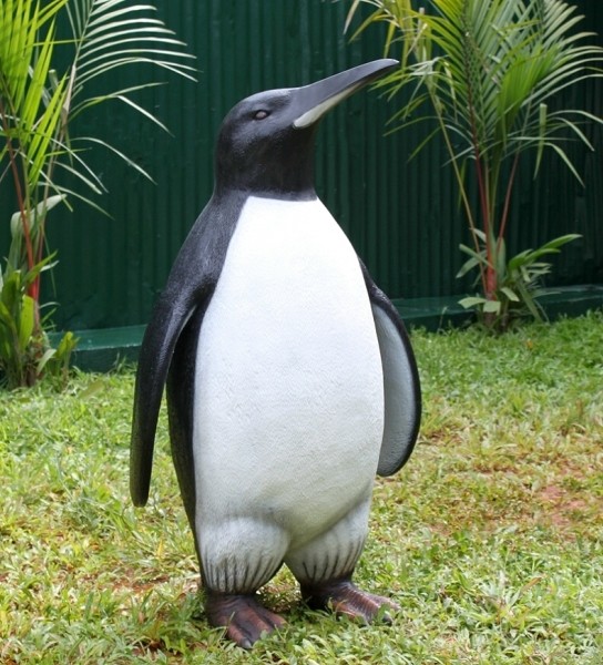 Pinguin Adelie