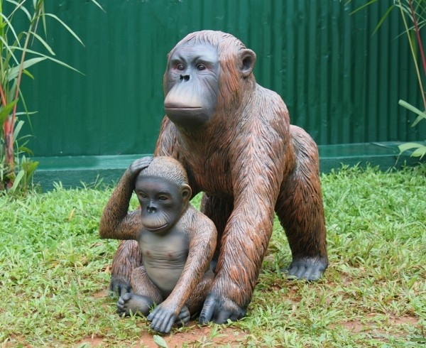 Orangutan mit Baby 2