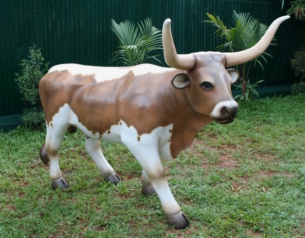 Kuh mit großen Hörner