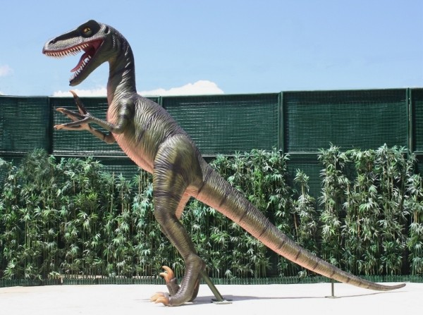 Dinosaurier Velociraptor