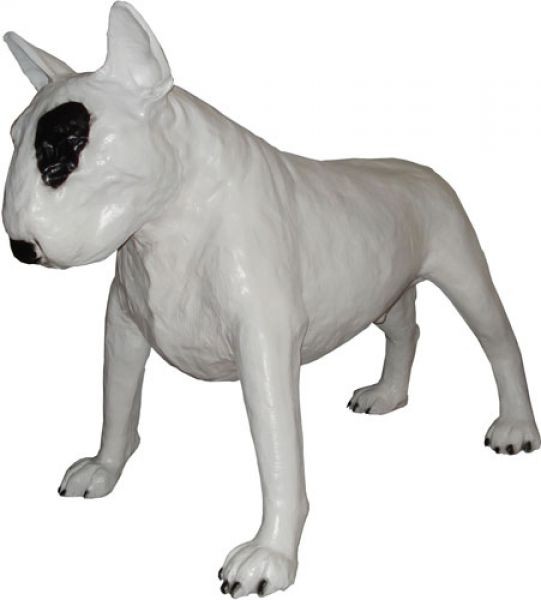 Bullterrier Kampfhund