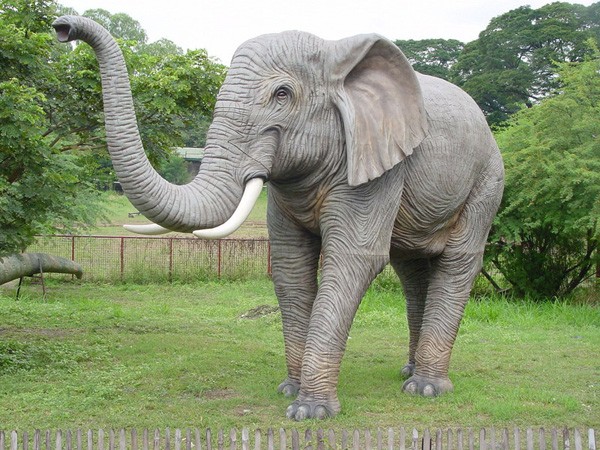 Elefant lebensgroß Rüssel oben