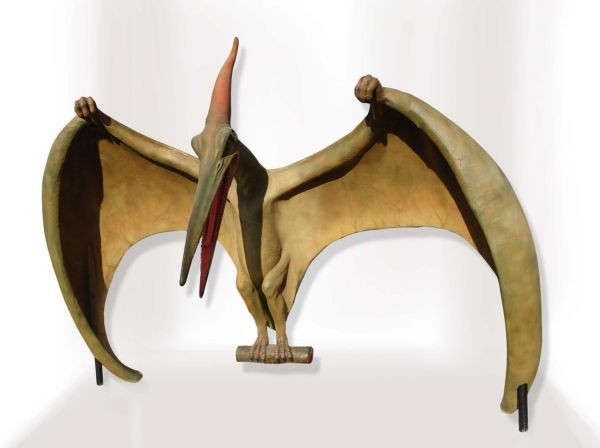 Pteranodon stehend