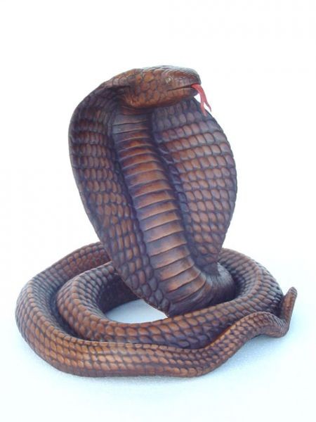 Braune Cobra