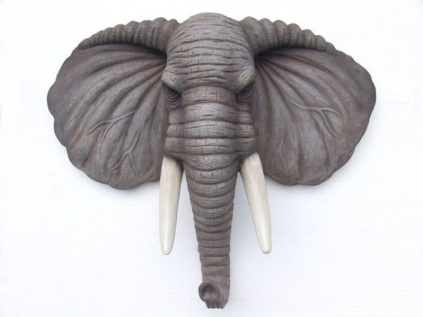 Elefantenkopf zur Wandmontage