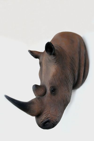 Nashornkopf Rhinoceros