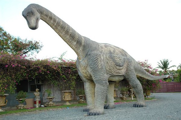 Camarasaurier sehr groß