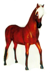 kleines braunes Pferd mit blonder Mähne