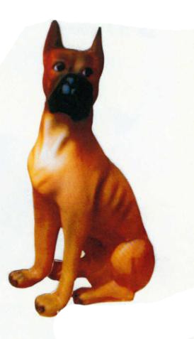 American Pitbull Kampfhund sitzend