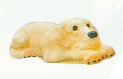 Labrador liegend beige