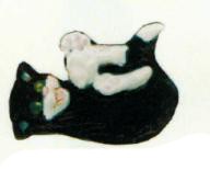 verspielte Katze schwarz weiß