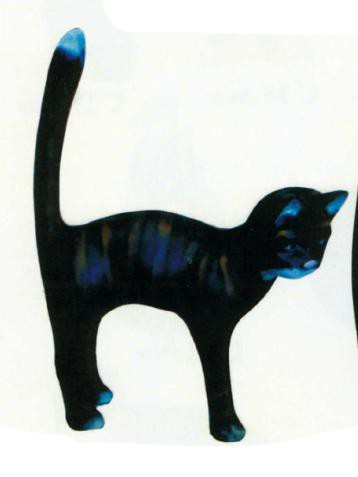 Katze macht Buckel schwarz groß