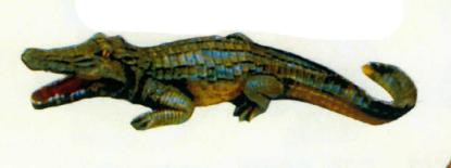 kleiner Alligator dunkel