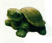 Schildkröte grün