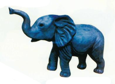 kleiner Elefant ohne Stoßzähne
