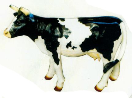 mittleres schwarz weiß gefleckte Kuh