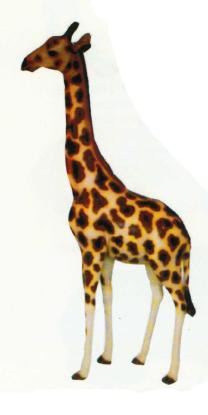 Giraffe mittel