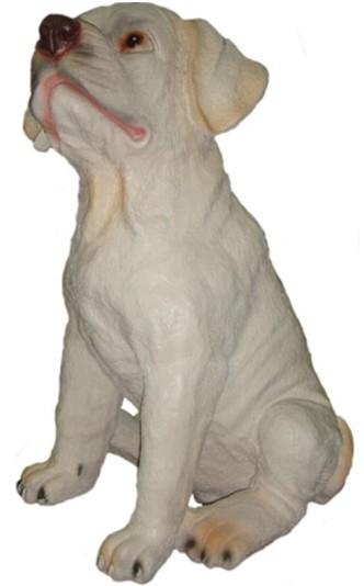 Hund, Labrador Welpe