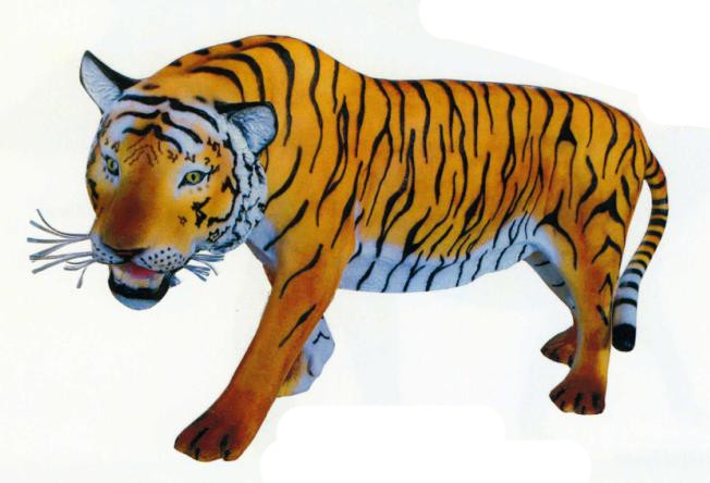 laufender Tiger groß