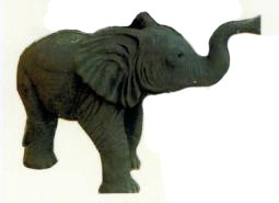 kleiner stehender Elefant Rüssel oben