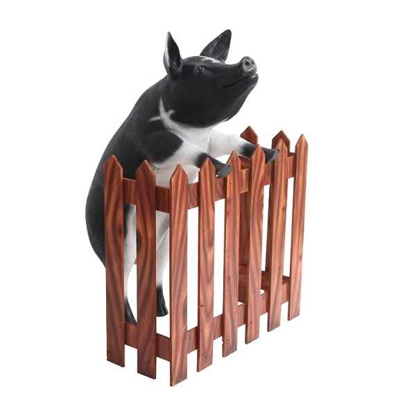 Schwarzweißes Schwein stehend am Zaun 