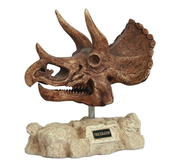 Dinosaurier Triceratops auf Stein