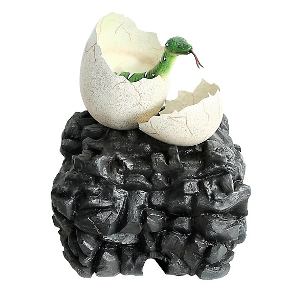 Anakonda schlüpft aus Ei auf Stein