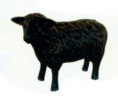 schwarzes Schaf klein