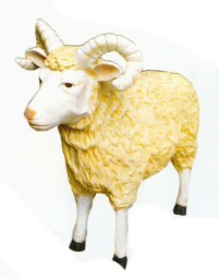 Schafsbock lebensgroß
