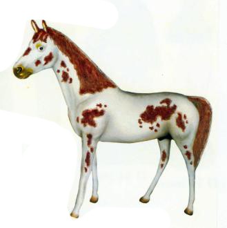 weißes Pferd mit brauner Mähne gepunktet