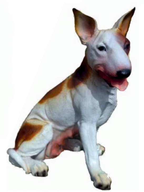 Kampfhund Bullterrier sitzend braun weiß
