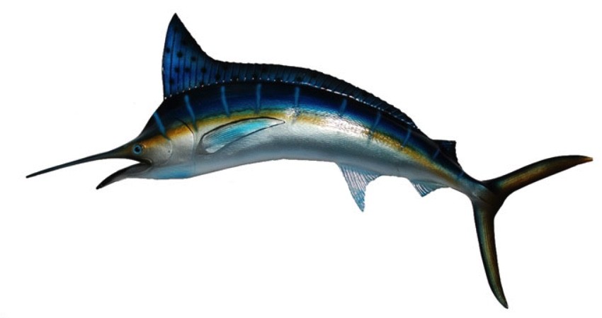 Blue Marlin mit gelben Streifen