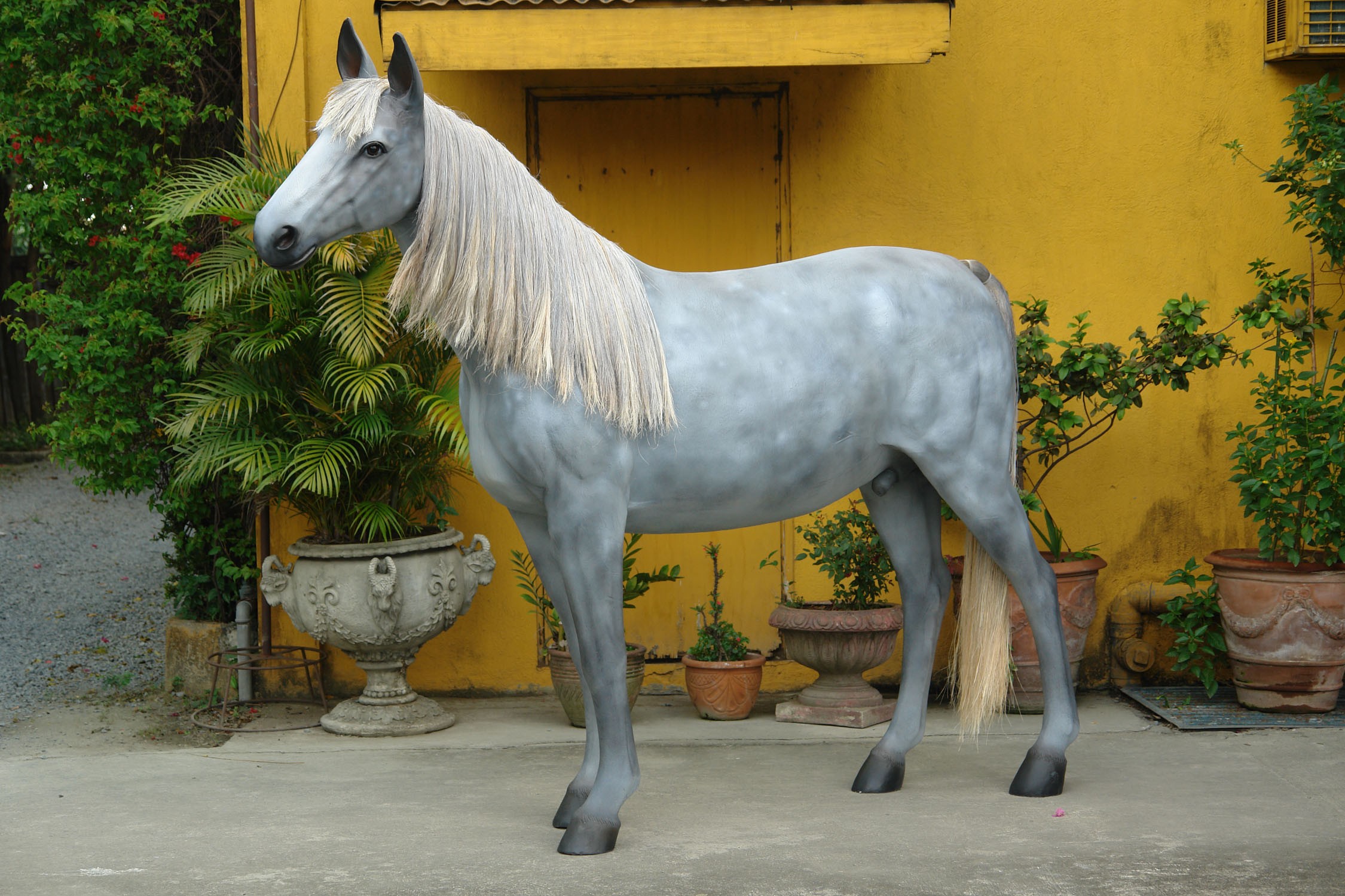 Appaloosa Pferd mit Echthaarmähne