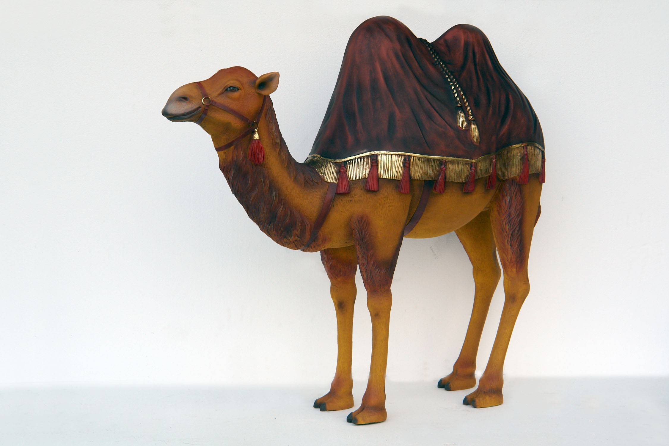 orientalisches Kamel mit dunkelrotem Tuch