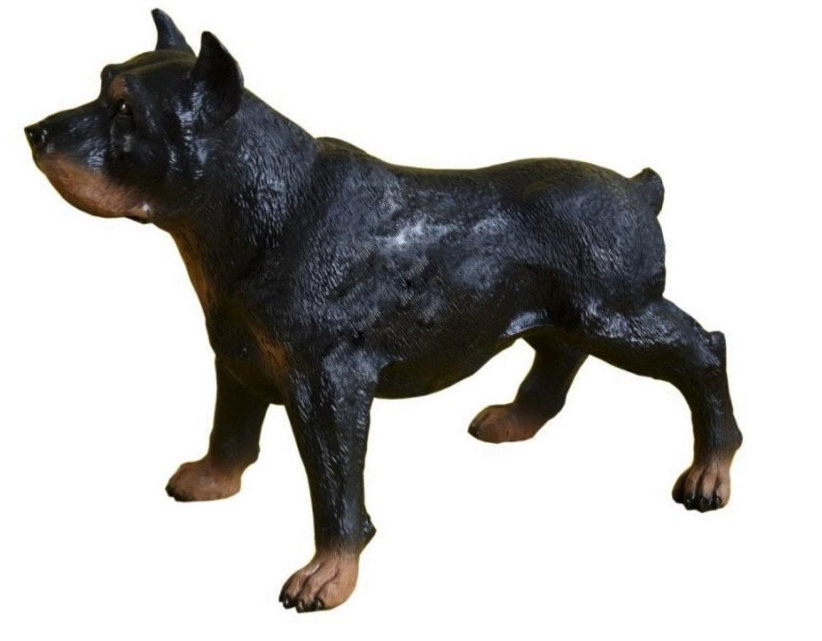 Rottweiler Kampfhund