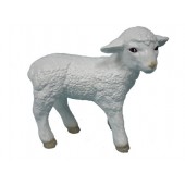 Lamm Schaf stehend