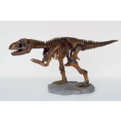 Kleines T-Rex Skelett
