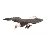 Weißköpfiger Adler fliegend Angriffsposition