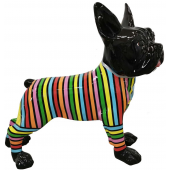 Französische Bulldogge Hund schwarz mit Streifen