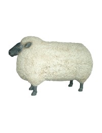 Schaf mit schwarzem Kopf sehr groß