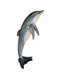 springender Delfin groß