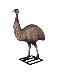 Emu lebensgroß