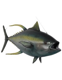 Gelbflossen Tunfisch
