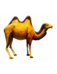 Kamel mit 2 Höckern