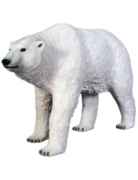 Polarbär laufend