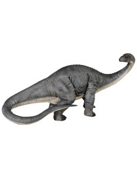 kleiner Apatosaurus