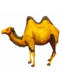 Kamel mit zwei Höckern